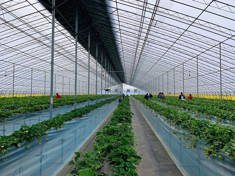 640.webp (4).jpg 640.webp (4).jpg