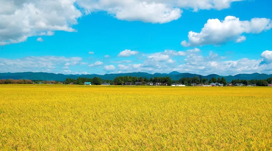 640.webp (1).jpg 640.webp (1).jpg